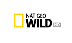 Digiturk Taraftar Paketi Kredi Kartı kanal5